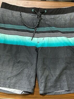 ZeroXposur Men's Gray Swim Shorts with Teal Stripe